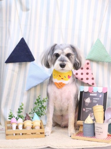 20250502パピコくん